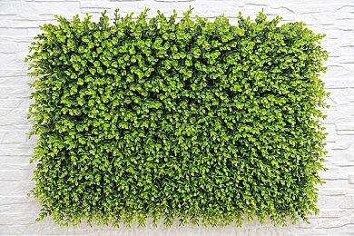 《无名小卒拯救世界》开发者演示 1月18日正式上线